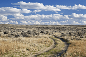 ruts-canstockphoto9368594_450x300